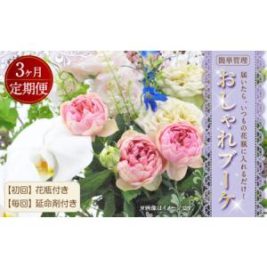 ふるさと納税 【3回定期便】”松竹梅の松セット”...の商品画像