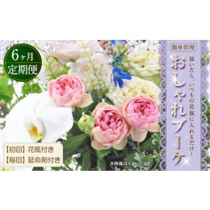 ふるさと納税 【6回定期便】”松竹梅の松セット”届いたら、いつもの花瓶に入れるだけ！ 簡単管理 の おしゃれ ブーケ ♪初回 花瓶 付き、毎回延.. 福岡県嘉麻市