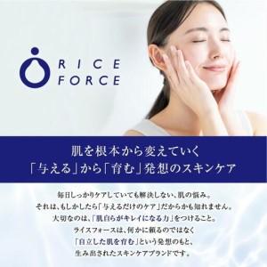 ふるさと納税 1366840. ライスフォース...の詳細画像3