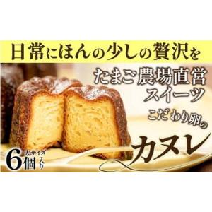 ふるさと納税 たまご農場直営スイーツ!こだわり卵の食べ応え抜群!大きなカヌレ　6個合計300g／Gbn-A40 高知県四万十町｜ふるなび(ふるさと納税)