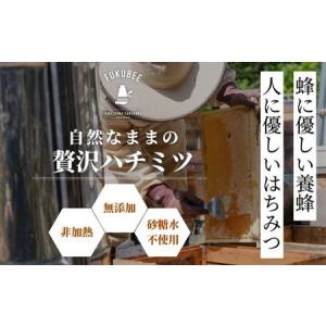 ふるさと納税 国産天然はちみつ FUKUBEE...の詳細画像1