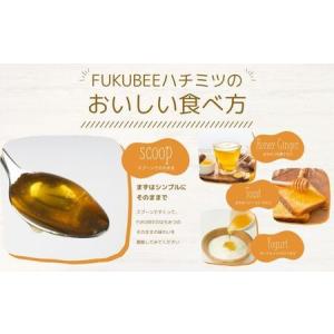 ふるさと納税 国産天然はちみつ FUKUBEE...の詳細画像4