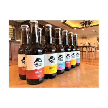 ふるさと納税 南信州クラフトビール「Ogna」１２本セット [ ビールビール ビール ビール ビール...