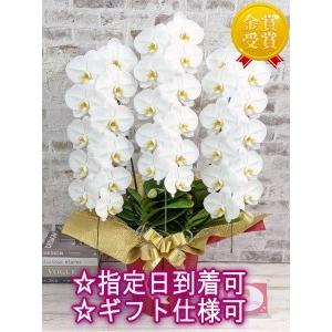 ふるさと納税 B102 【金賞受賞】スタンダー...の詳細画像2