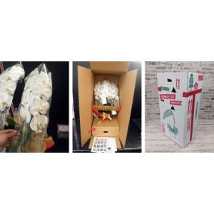 ふるさと納税 B102 【金賞受賞】スタンダー...の詳細画像4