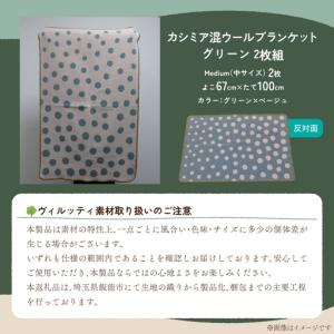 ふるさと納税 マルナカヴィルッティ(marun...の詳細画像2