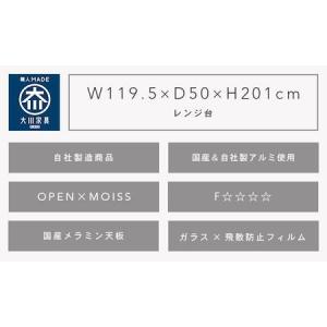 ふるさと納税 【開梱設置】 響 食器棚 幅12...の詳細画像2