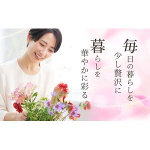 ふるさと納税 <2026年7月〜11月まで5ヵ...の詳細画像1