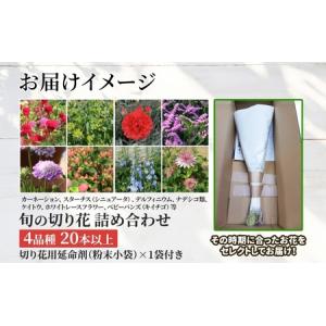 ふるさと納税 <2026年7月〜11月まで5ヵ...の詳細画像3