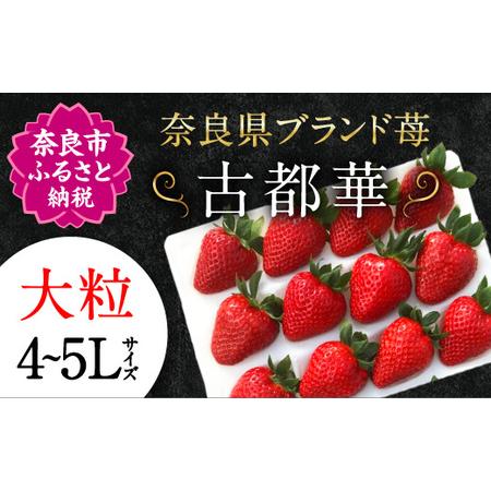 ふるさと納税 【予約販売】宝石のような濃いルビー色 古都華 奈良ブランド苺 いちご 大粒 4L〜5L...