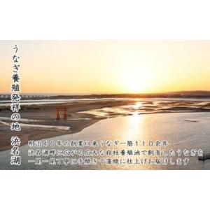 ふるさと納税 うなぎ 訳あり 浜名湖 国産 蒲...の詳細画像4
