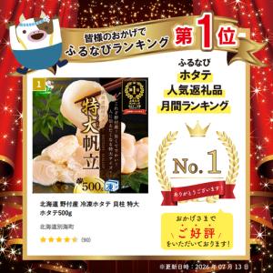 ふるさと納税 北海道 野付産 冷凍ホタテ 貝柱...の詳細画像1