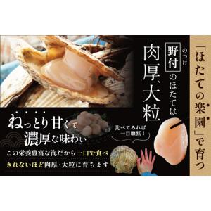 ふるさと納税 【ふるなびWeek対象】北海道 ...の詳細画像3