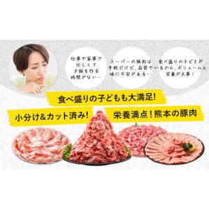 ふるさと納税 豚肉 バラエティセット 4.6k...の詳細画像2