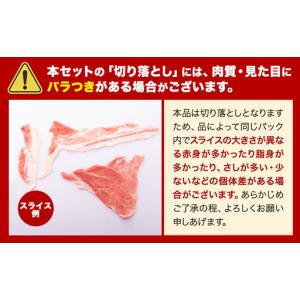 ふるさと納税 豚肉 バラエティセット 4.6k...の詳細画像4