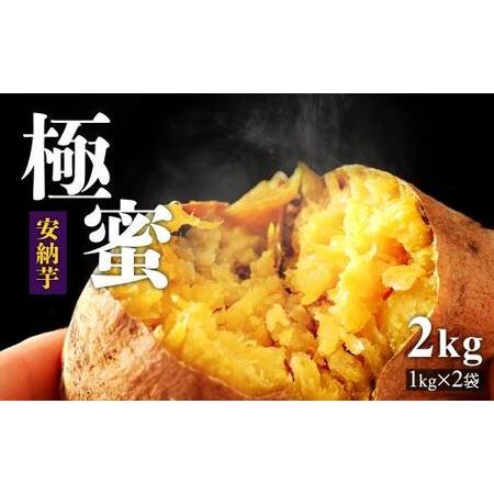 ふるさと納税 極蜜安納芋の焼き芋【1kg×2袋】 鹿児島県大崎町