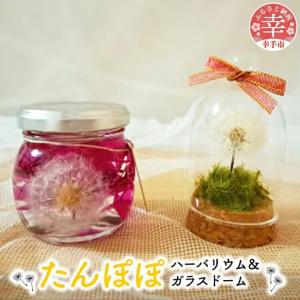 ふるさと納税 たんぽぽハーバリウム?&ガラスドー...の商品画像