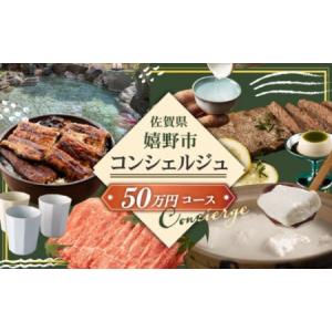 ふるさと納税 コンシェルジュ50万円プラン NZY001 佐賀県嬉野市