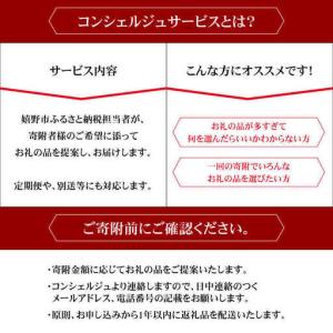 ふるさと納税 コンシェルジュ100万円プラン ...の詳細画像1