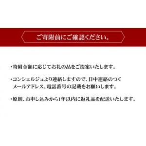 ふるさと納税 コンシェルジュ100万円プラン ...の詳細画像4