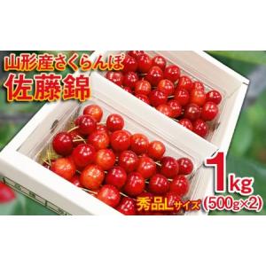 ふるさと納税 さくらんぼ 佐藤錦 Lサイズ 1kg(500g×2パック）