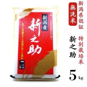 ふるさと納税 【令和7年産米】真空パック 特別栽培米 新之助 無洗米 5kg 山波農場のお米 新潟県産 [Y0059] 新潟県柏崎市