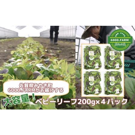 ふるさと納税 FV002_大容量ベビーリーフ200ｇ×４セット 有機JAS認証取得 野菜　産地直送　...