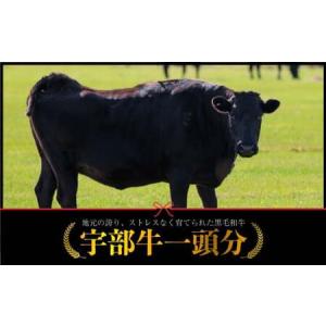 ふるさと納税 【数量限定】宇部牛 一頭分 黒毛和牛 Ａ５ランク 冷蔵 約300kg 和牛シャトーブリアンから牛タン、ホルモンまで、食べてみっちゃ、.. 山口県宇部市