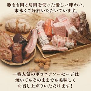 ふるさと納税 二の岡ハム ボロニアソーセージ ...の詳細画像2