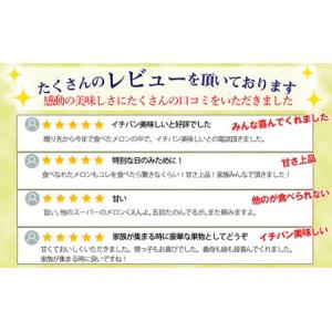 ふるさと納税 クラウンメロン【上(山等級)】特...の詳細画像2