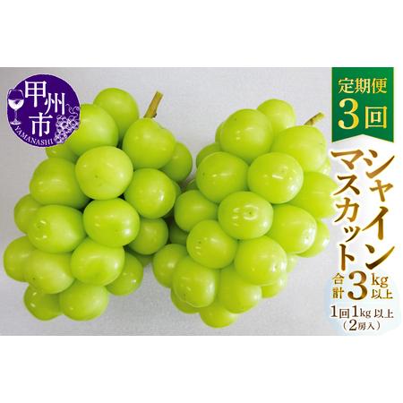 ふるさと納税 【定期便】甲州市産厳選旬のシャインマスカット1kg以上2房×3回【2026年発送】（M...