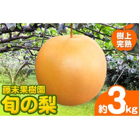 ふるさと納税 先行予約】 梨 旬の梨 約 3kg (4~9玉) 藤末果樹園 熊本県荒尾市産 期間限定...