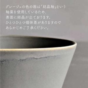 ふるさと納税 【波佐見焼】koma 茶碗 ペア...の詳細画像4