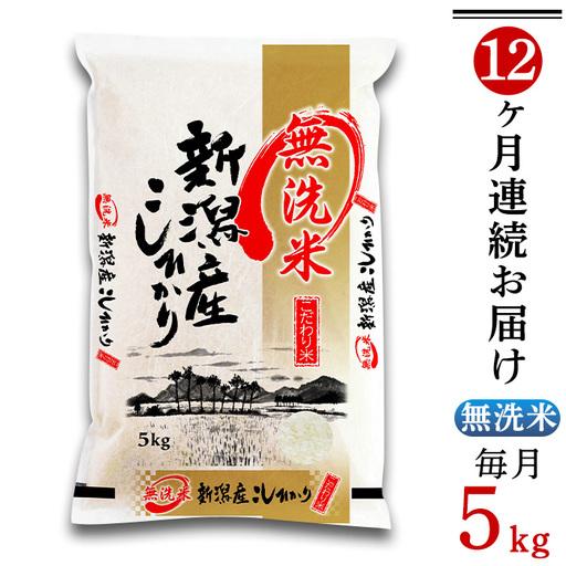 ふるさと納税 31-M5Z【無洗米】新潟県産コシヒカリ5kg【12ヶ月連続お届け】 新潟県胎内市