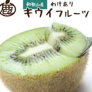 ふるさと納税 ＜11月より発送＞家庭用キウイフルーツ3kg＋90g（傷み補償分）訳あり 扁平果 和歌...