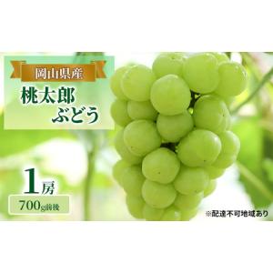 ふるさと納税 ぶどう 2024年 先行予約 桃太郎 ぶどう 1房 700g前後 ブドウ 葡萄  岡山...