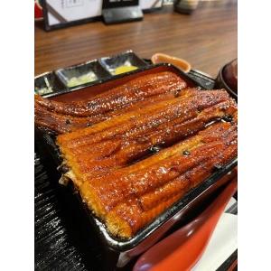 ふるさと納税 B266.「うなぎの重よし」お食事券(2名様分) 福岡県新宮町