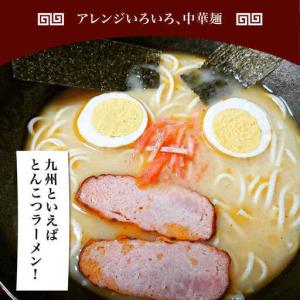 ふるさと納税 【 定期便 12回】手延べ 中華...の詳細画像4