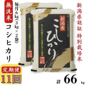 ふるさと納税 新米先行予約【令和8年産米・11ヶ...の商品画像