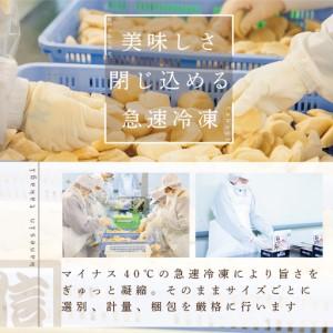 ふるさと納税 思わず笑うほど驚くお試しジャンボ...の詳細画像3