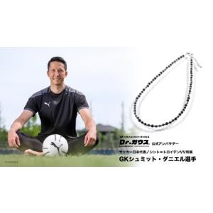 ふるさと納税 Dr.ガウス スタンダードグレー...の詳細画像1