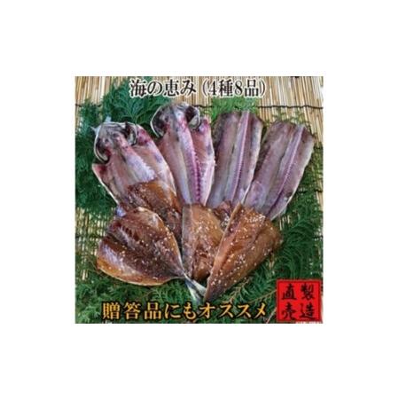 ふるさと納税 海の恵 セット 1230 ／ 山田屋海産 あじ さば エボダイ さんま 干物 お取り寄...