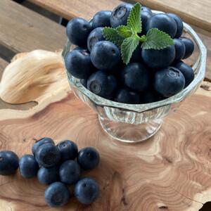 ふるさと納税 ※2023年4月中旬より※　大粒・完熟ブルーベリー