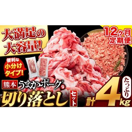 ふるさと納税 12ヶ月定期便 うまかポーク 切り落とし2.8kg＋ミンチ1.2kgセット《お申込み月...