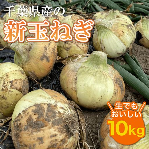 ふるさと納税 【先行予約:2027年5月以降発送】千葉県産 新玉ねぎ10kg 生でもおいしい！ AD...