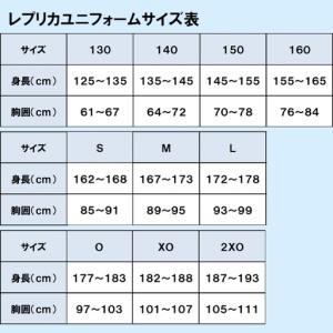 ふるさと納税 スペランツァ大阪応援グッズB(ユ...の詳細画像2