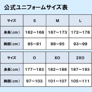 ふるさと納税 スペランツァ大阪応援グッズC(ユ...の詳細画像2