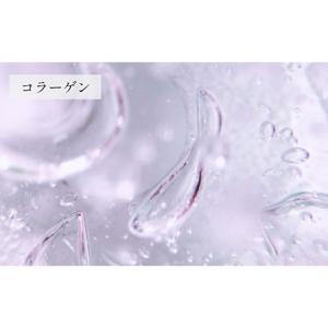 ふるさと納税 【 全12回 定期便 】 ブース...の詳細画像4