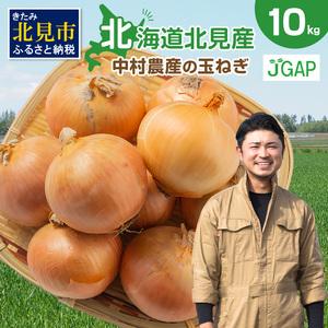 ふるさと納税 【予約：2025年9月下旬から順次発送】北海道北見産 玉ねぎ 10kg ( 野菜 たまねぎ タマネギ 玉葱 玉ねぎ 甘い Lサイズ 10キロ 玉ね.. 北海道北見市