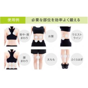 ふるさと納税 【お腹だけじゃない!貼るだけ筋ト...の詳細画像1